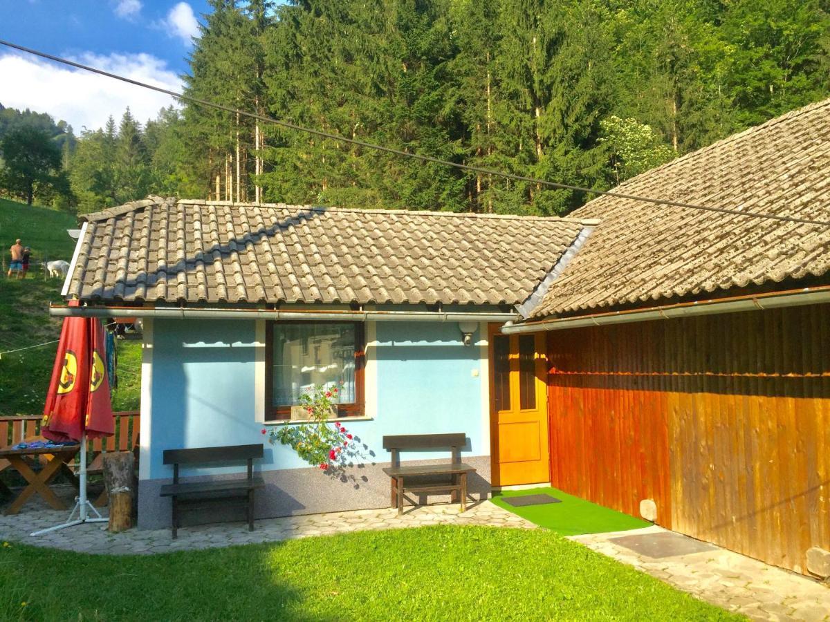 Apartment Tisa Solčava Esterno foto